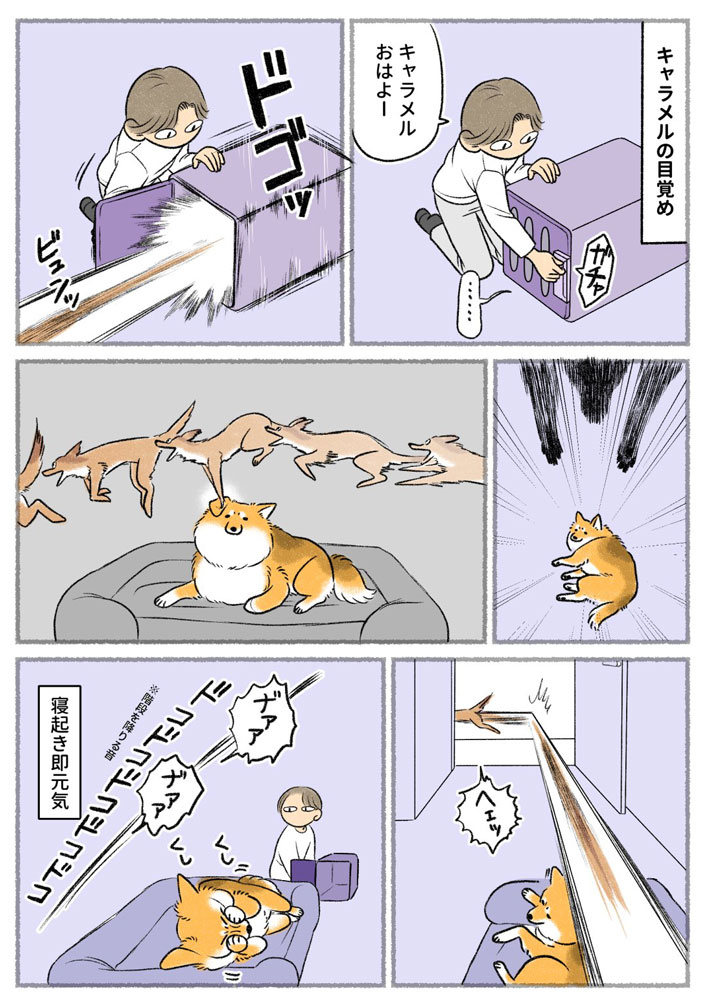 さかぐちまやさんの漫画の画像