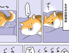 さかぐちまやさんの漫画の画像