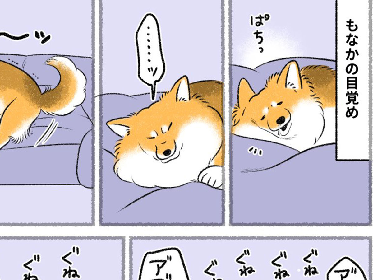 さかぐちまやさんの漫画の画像
