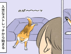 さかぐちまやさんの漫画の画像