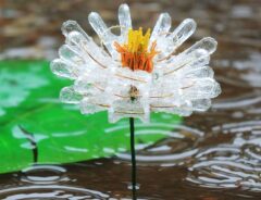 洗濯バサミの花