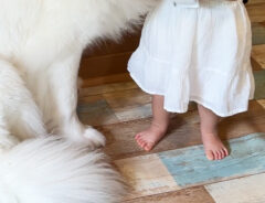 大型犬と子供の写真