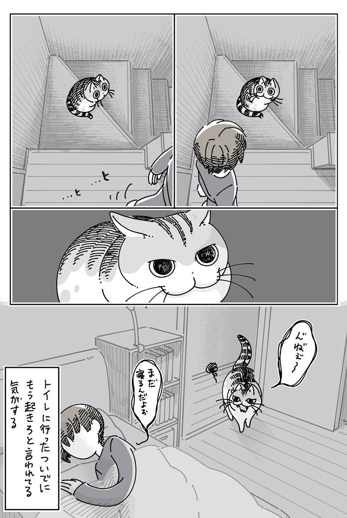 キュルZ（@kyuryuZ）さんの漫画