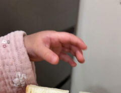 食パンの写真