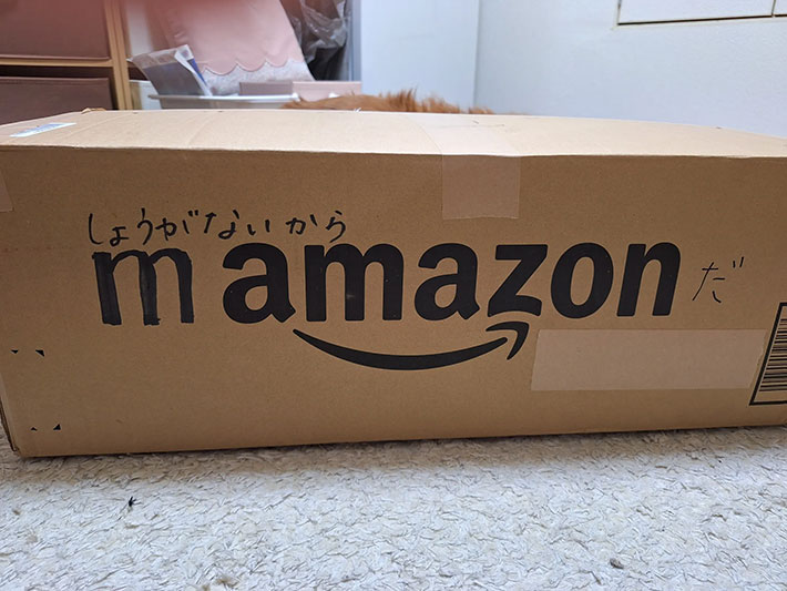 ダンボール