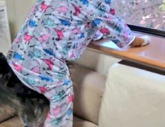 パジャマを着た犬
