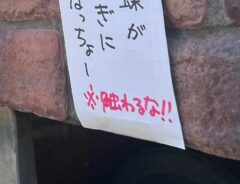 大山乗馬センターの投稿写真