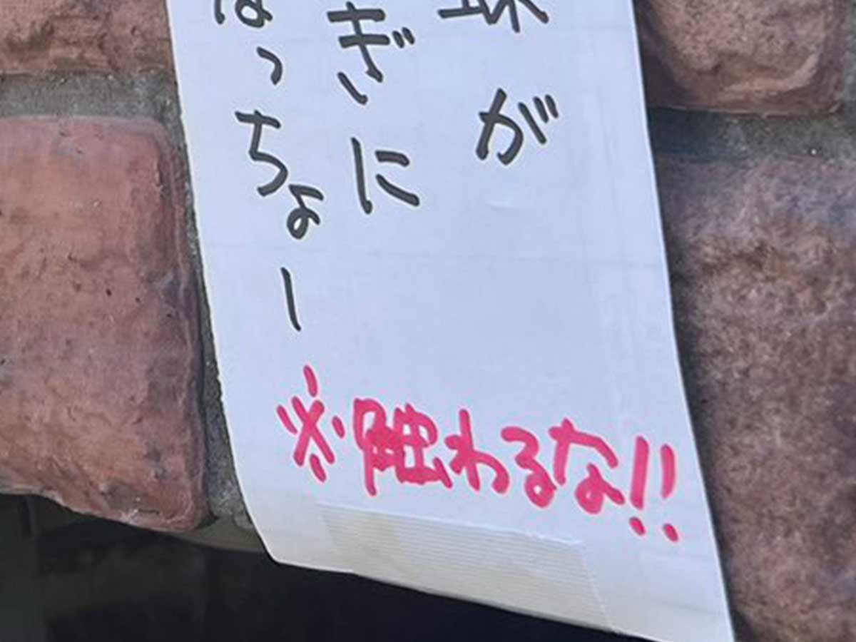 大山乗馬センターの投稿写真