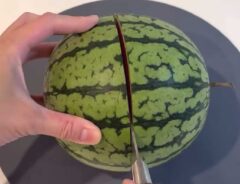 スイカの画像