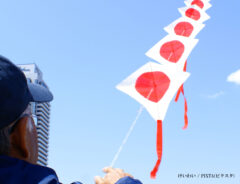 凧揚げする男性