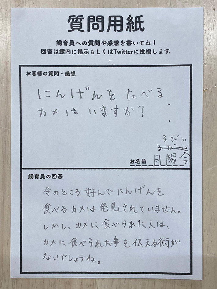 質問用紙