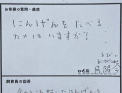 質問用紙