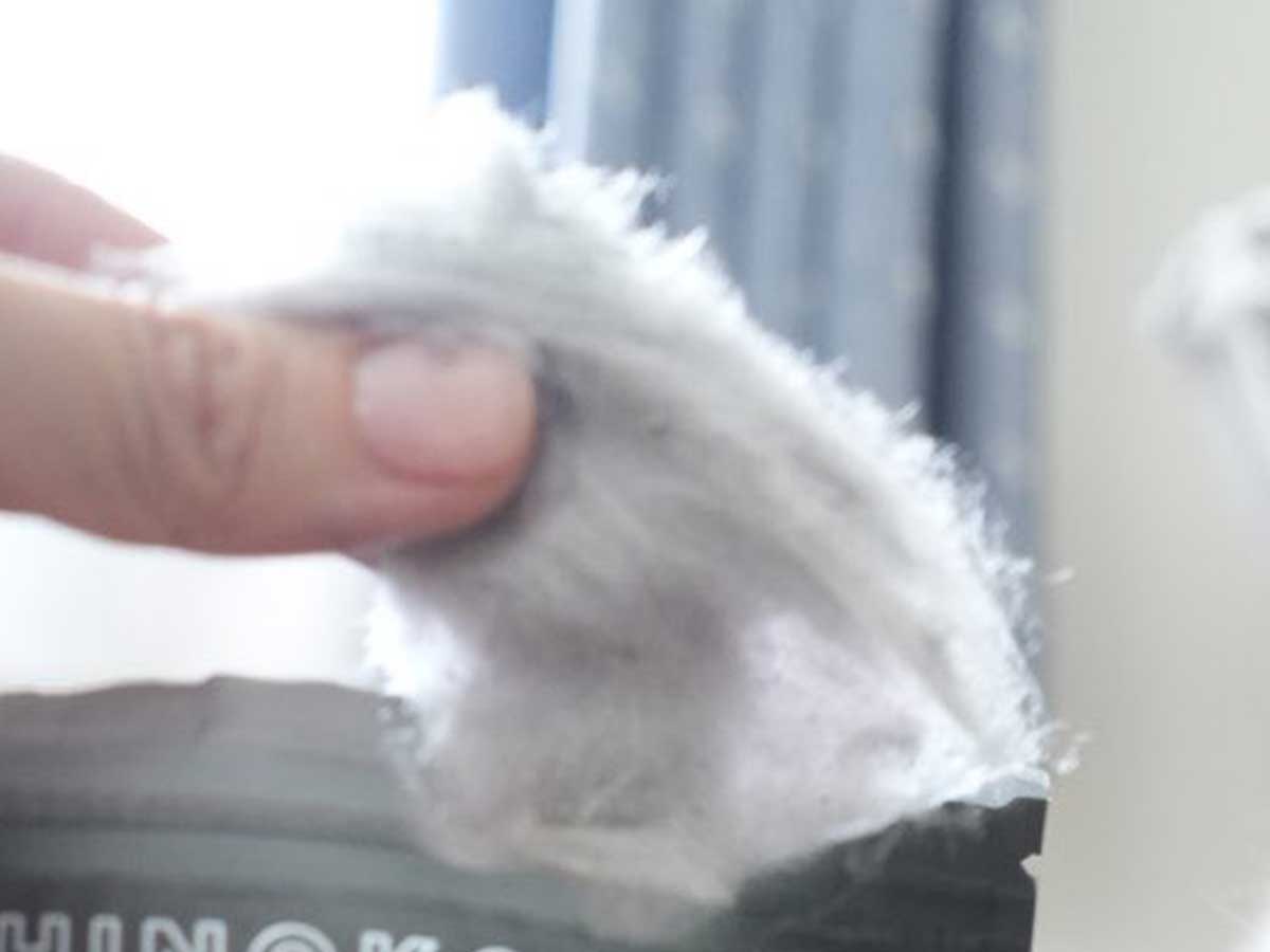猫の写真