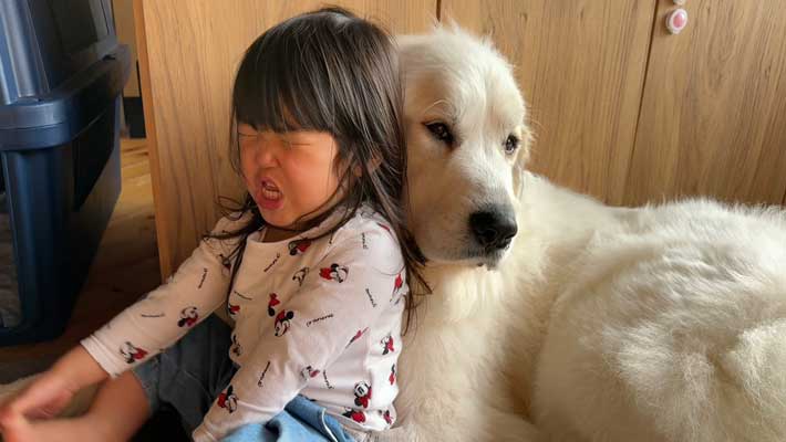 ウソ泣きをする子供と犬