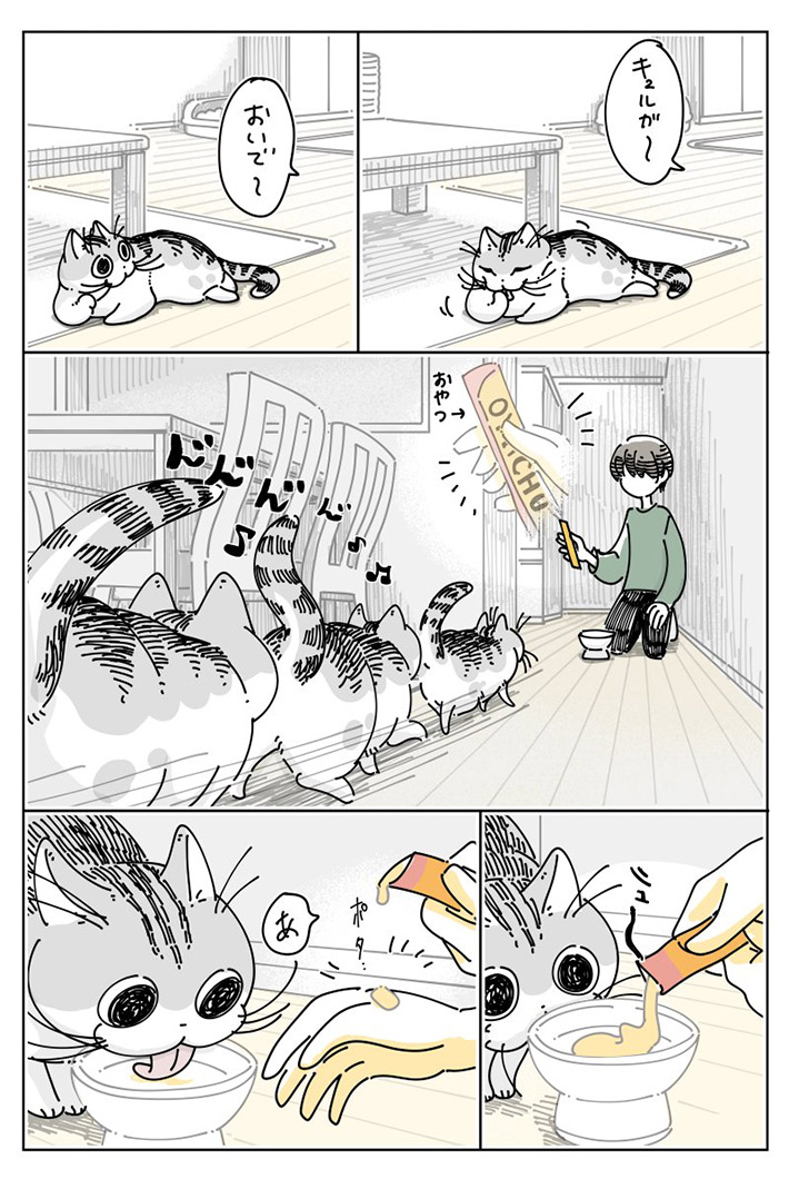キュルZ（@kyuryuZ）さんの漫画