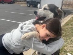 保護犬を抱く少女の写真