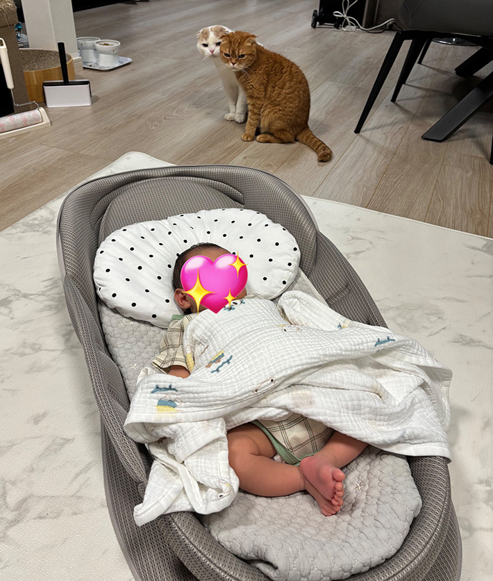赤ちゃんの写真