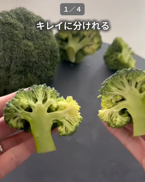 ブロッコリーの写真