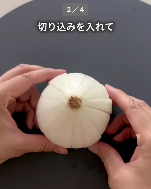 タマネギの写真