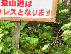 登山道の立て看板の写真