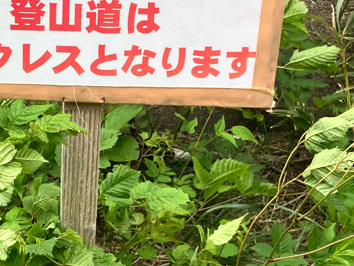 登山道の立て看板の写真