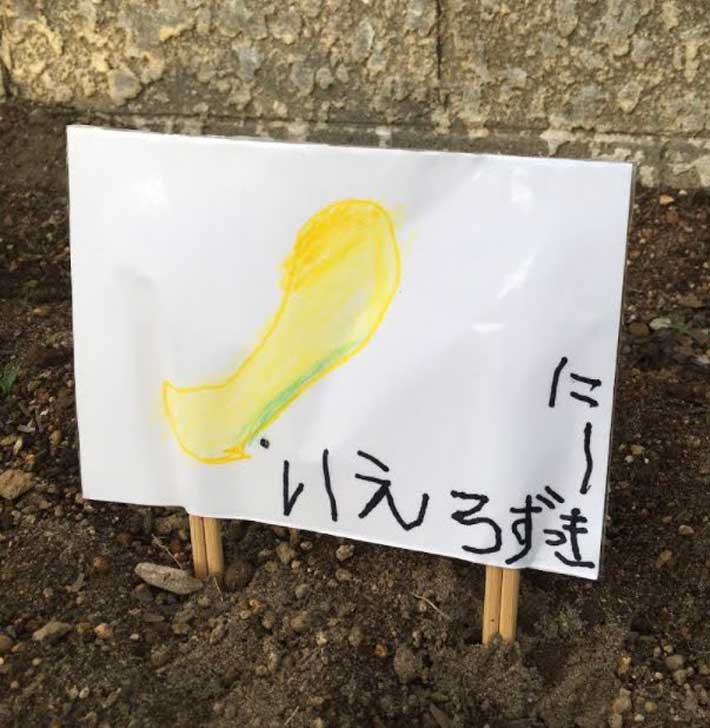 子供の絵の画像