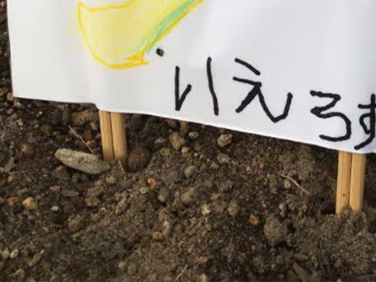 子供の絵の画像