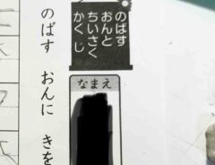 小学生のプリント