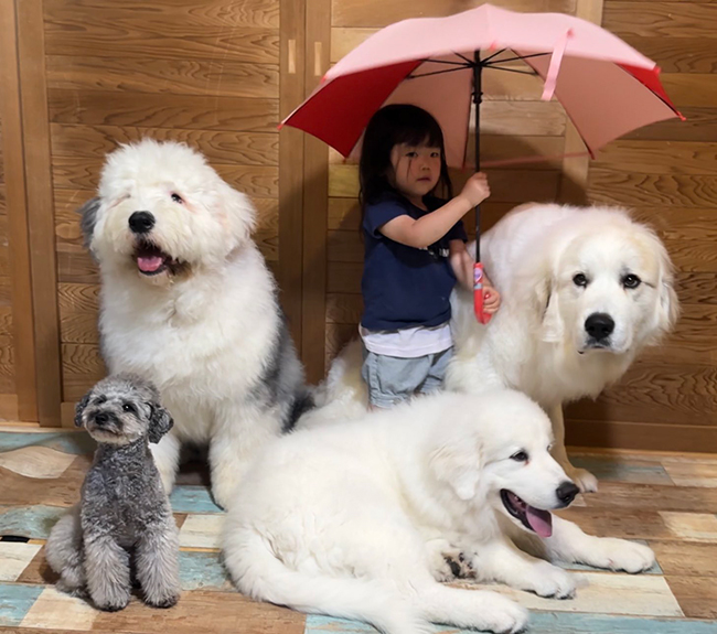 女の子と犬