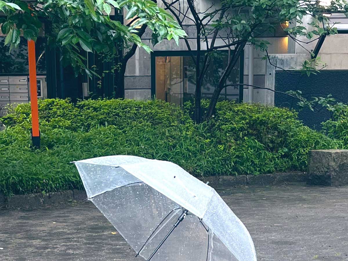 傘の写真