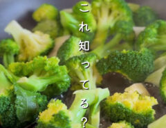 『ブロッコリーごま味噌マヨ』