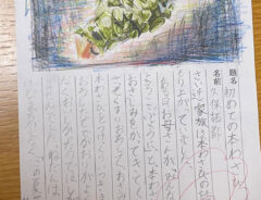 小学生の絵日記