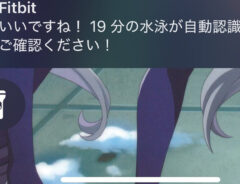 画面上の表示