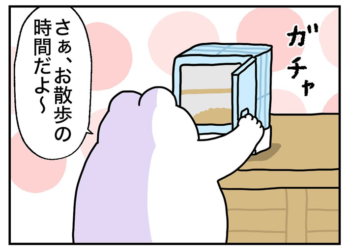 文鳥をゲージから出す飼い主