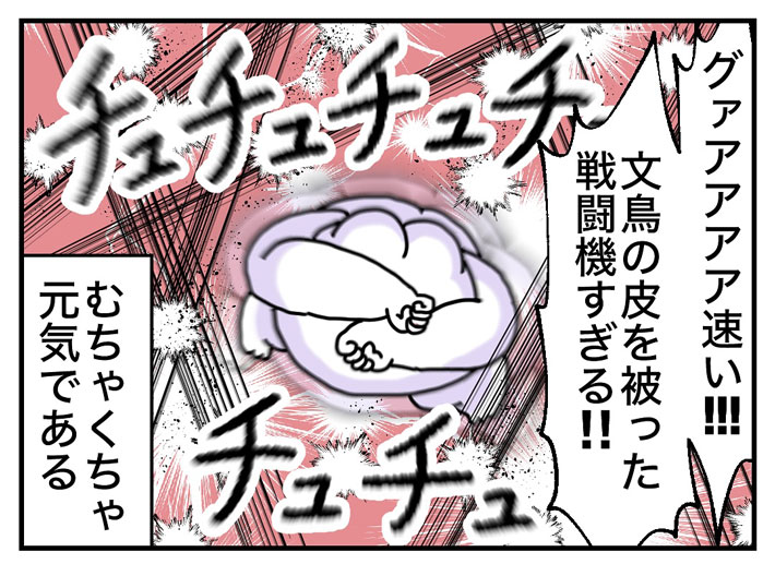 部屋の中で飛び回る文鳥３匹