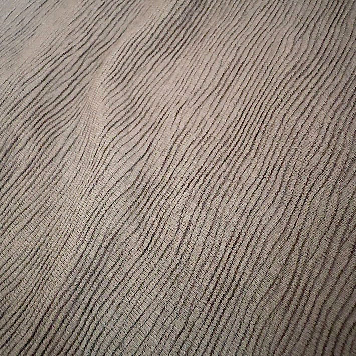 ワンピースの写真