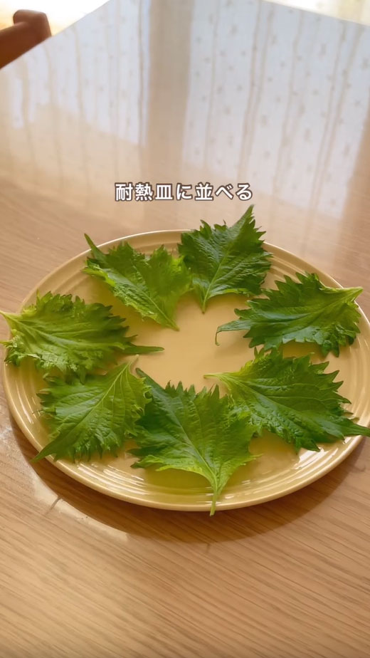 大葉の写真