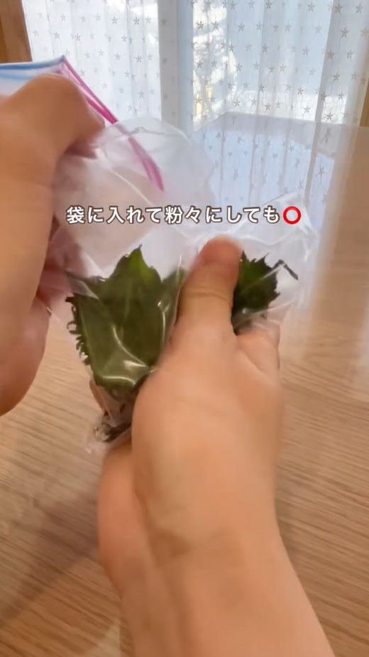大葉の写真