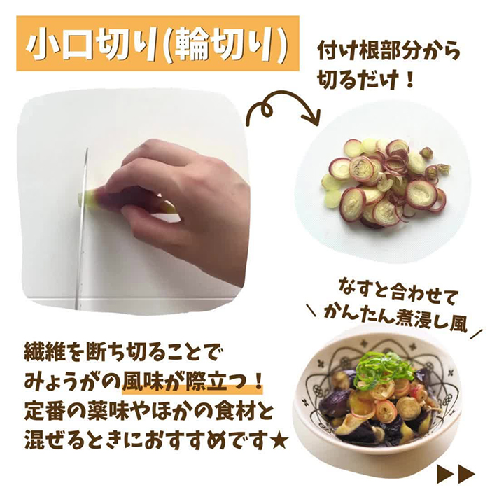 ミョウガの写真