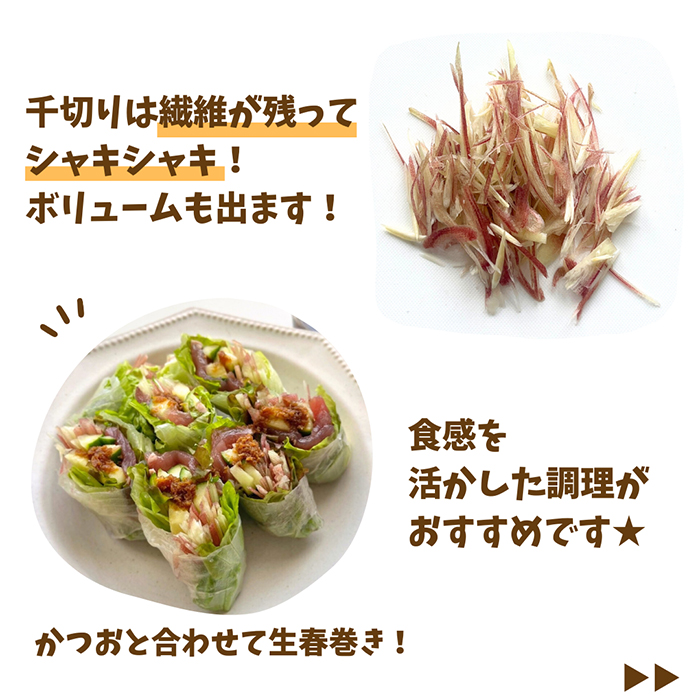 ミョウガの写真