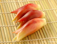 ミョウガの写真