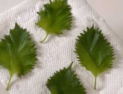 大葉漬けのレシピ画像