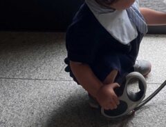 犬と子供の写真