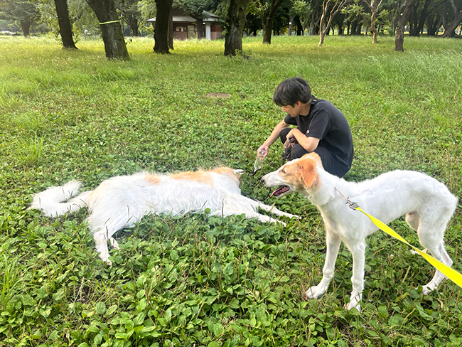 ２匹の犬と飼い主さん