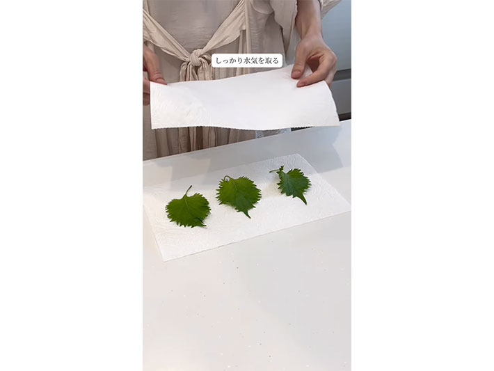 大葉の保存方法