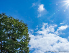 夏の青空