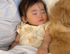 子供の写真