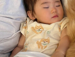 子供の写真