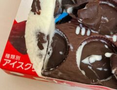 ピノの写真