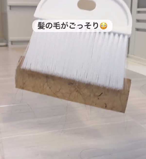 ほうきの画像